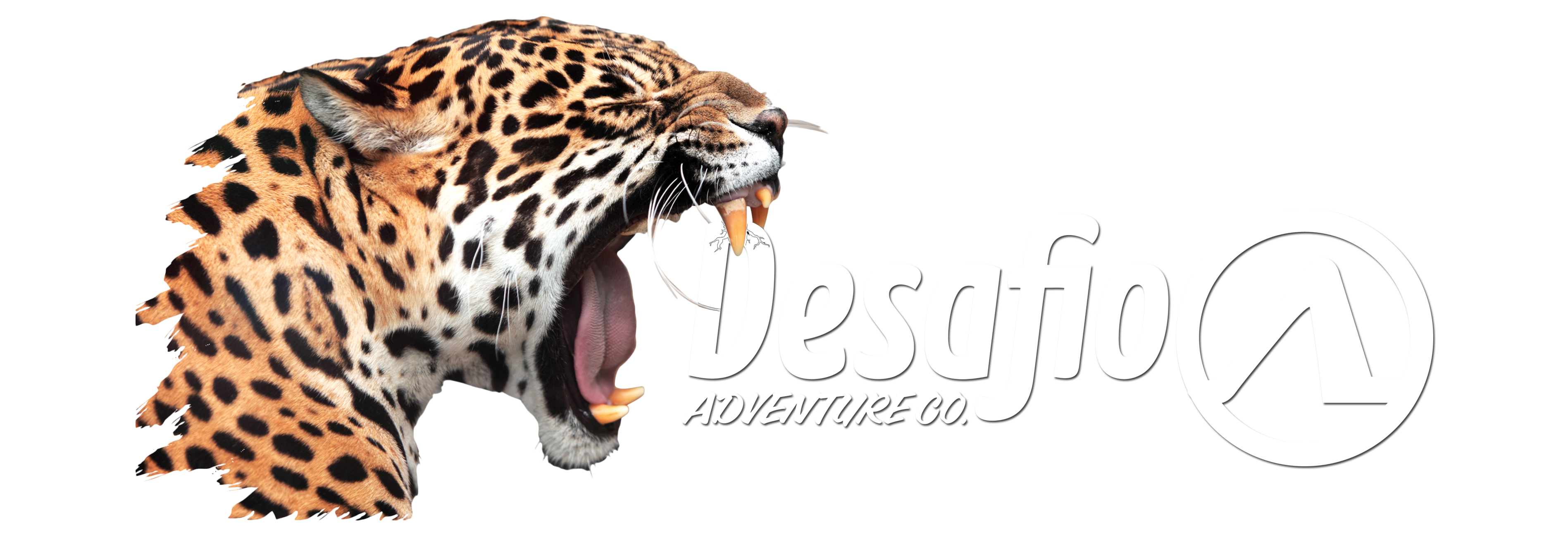 Powered by Desafío Adventure Co.